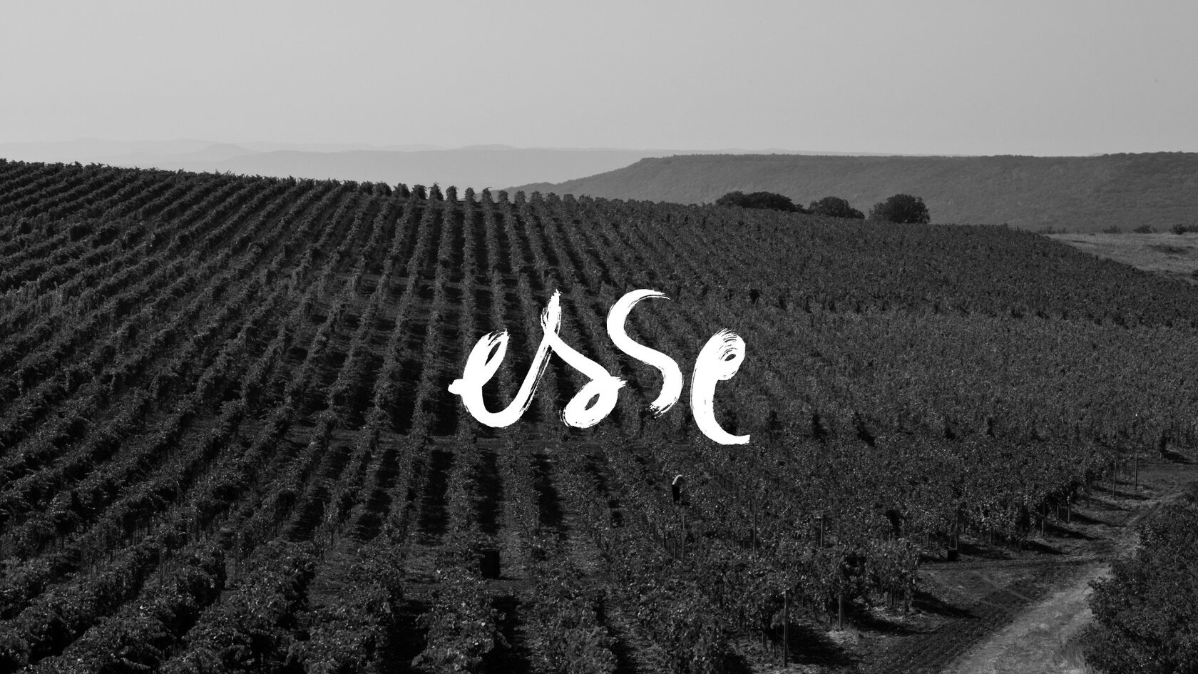 Вина Esse на страницах SWN 