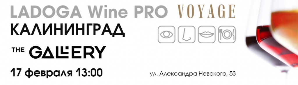 Калининград 1200х344.jpg